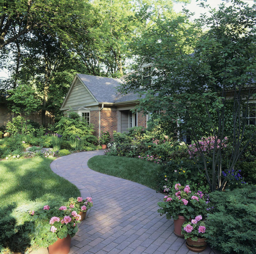 家,室外,弯曲,砖,房屋,花,树,粉色,绿色,夏天,天竺葵,着色,景观设计