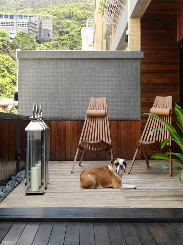 无人,家,竖图,室外,白天,建筑,宠物,狗,香港,日光,亚洲,斗牛犬,房屋,陆地,院子,小狗,干净,现代,自然,动物,社区,建造,环境,英格兰斗牛犬,当代