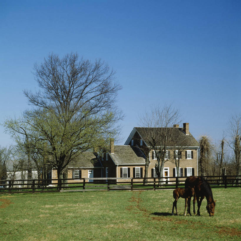 家,农场,草坪,建筑,马,野生动物,房屋,篱笆,草,蓝色,绿色,天空,动物,运输,牲畜,驹,农舍,击剑