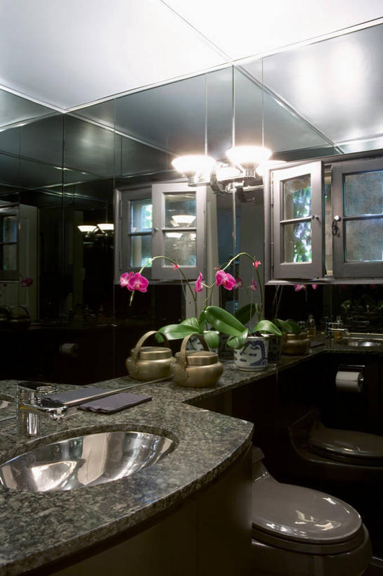 镜子,浴室,不锈钢,现代,化妆室,兰花,当代