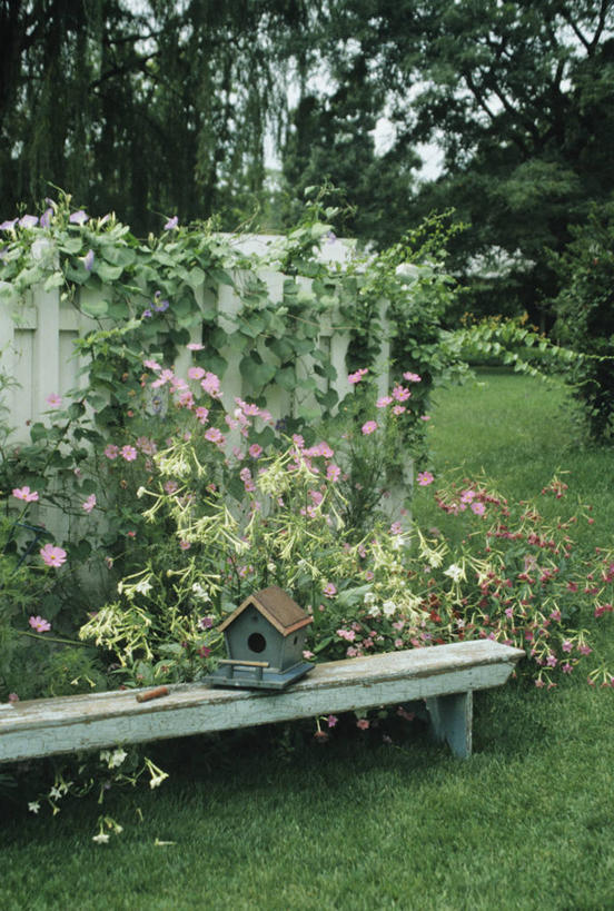 室外,白天,草坪,堆积,长椅,篱笆,笼子,鸟笼,花,粉色,白色,风化,风蚀,石化,花烟草,风蚀地貌,岩石层,击剑,岩石