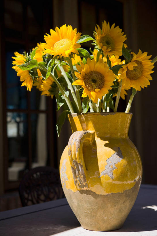 无人,竖图,室外,白天,桌子,向日葵,花瓶,日光,美国,装饰,花,装饰物,北美,加利福尼亚,当代