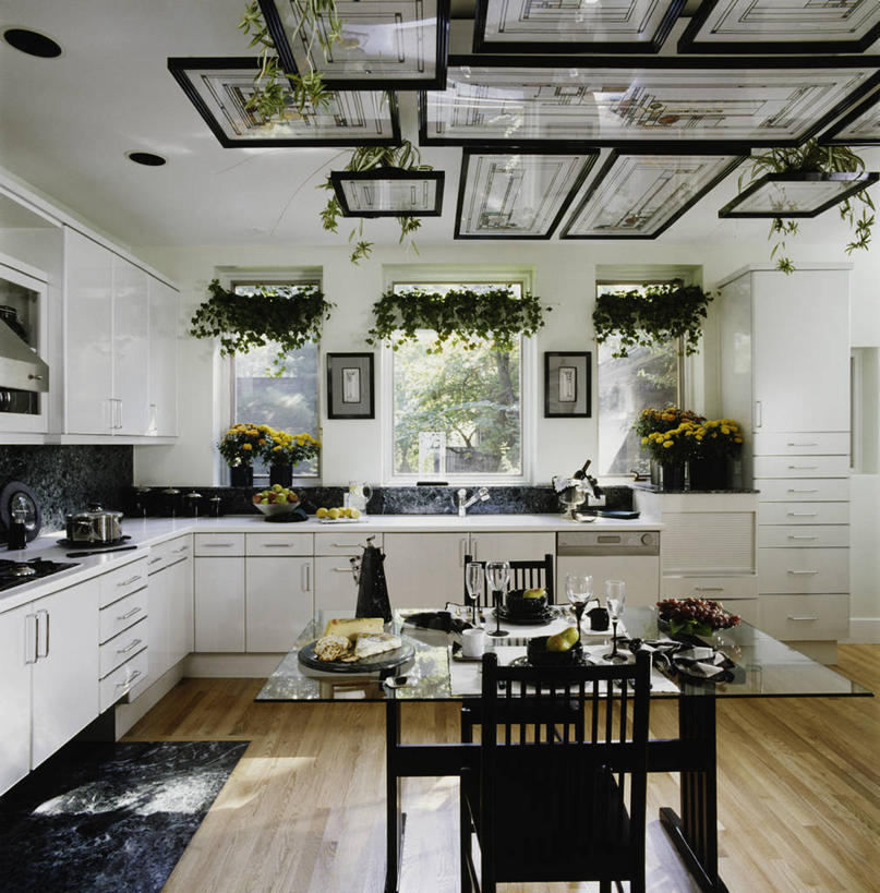 奶酪,家,黑白,白天,重复,厨房,桌子,水果,一排,不锈钢,形状,整齐,透明,反射,水槽,水龙头,房屋,食品,常春藤,干净,现代,酒瓶,排列,白色,花岗岩,队列,彩色玻璃,当代,厨房水槽