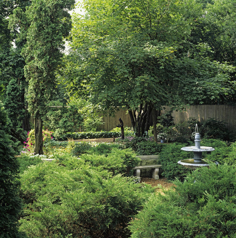 室外,水,喷泉,木制,长椅,篱笆,树,绿色,灌木,私密,击剑