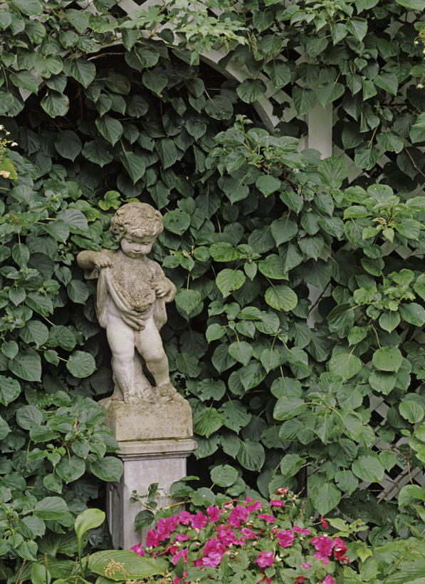 室外,幸福,雕像,野花,浪漫,英格兰,花,粉色,小天使,高雅,底座,格子饼,黄杨木,爱