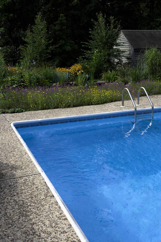 室外,院子,夏天