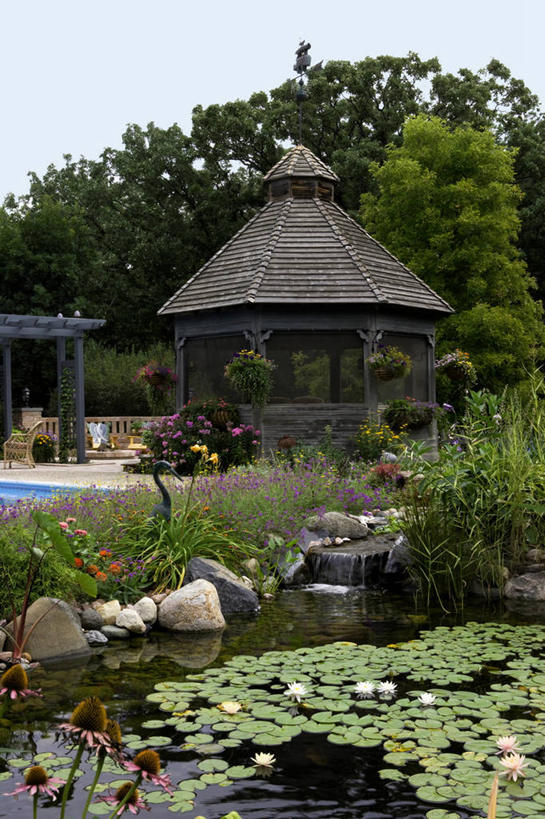 竖图,室外,瀑布,莲花,鸟,椅子,苍鹭,鸟类,院子,架子,夏天,金花菊,支撑,固定,柳条,灰鹳,多年生植物,火坑