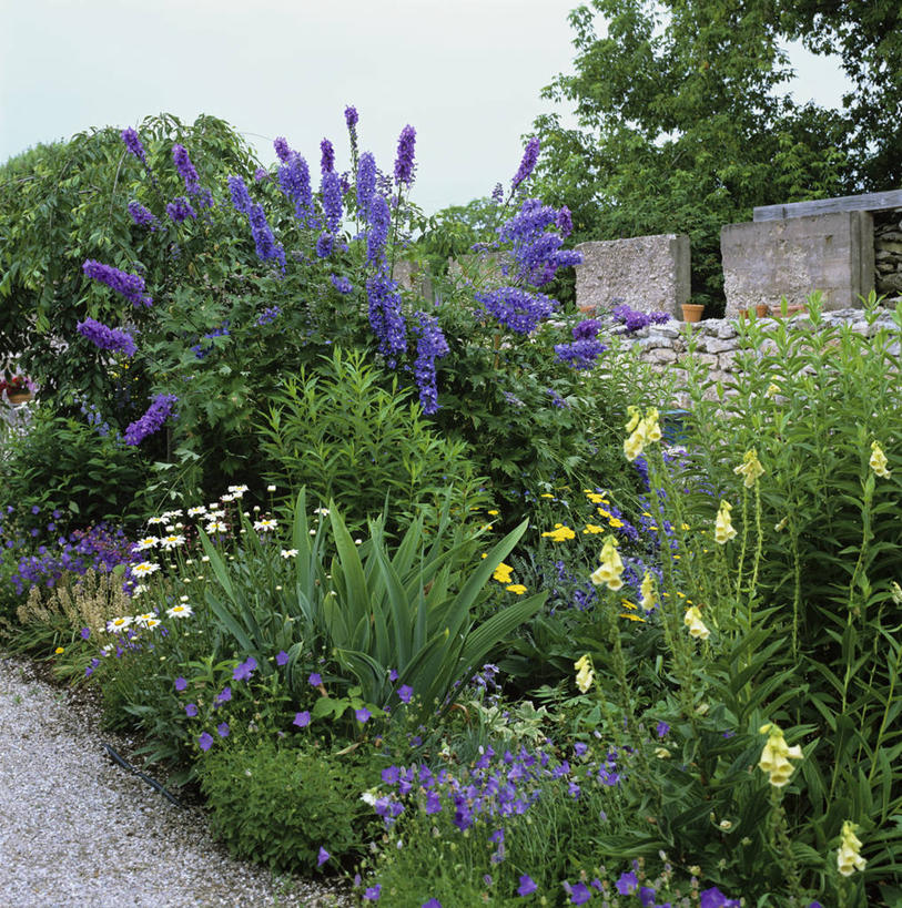 草坪,大门,庭院,风铃草,野花,祝福,草,雏菊,花,黄色,蓝色,绿色,健康,鹅卵石,可爱,粉底,钟花,创造,粘土,毛地黄,着色,感谢,温柔,感恩,格子饼,嫉妒,瓦筒花,西洋蓍草,飞燕草,多年生植物