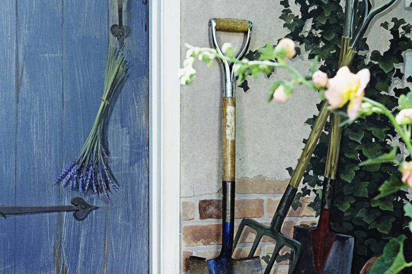 室外,特写,门,铲子,盆栽,叉,壁画,棚,蓝色,涂料,舒适,迷人,干草叉