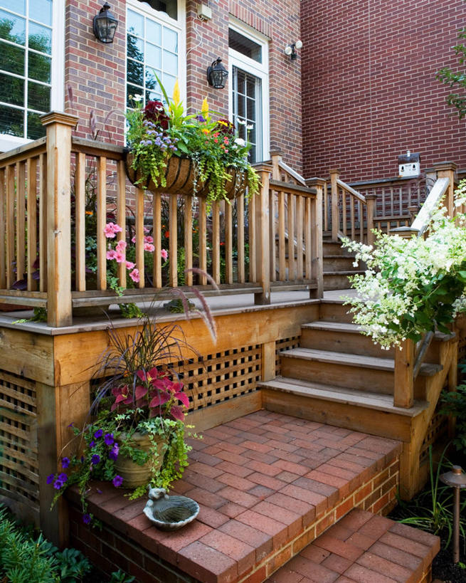 室外,骄傲,八仙花,砖,院子,台阶,绣球花,紫阳花,洋绣球,草绣球,斗球,七变化,粉团花,格子饼,善变,多年生植物