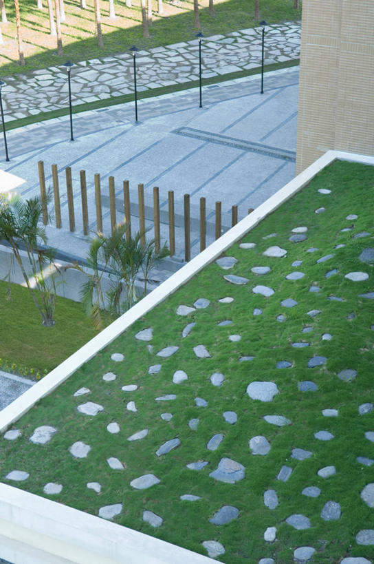 无人,竖图,俯视,航拍,室外,白天,草坪,台湾,日光,亚洲,地形,草,绿色,酷,鸟瞰,式样,设计,高角度拍摄