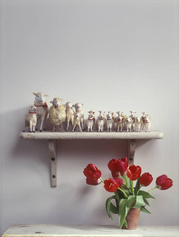 郁金香,静物,象牙,木制,架子,红色,动物,奶油,米色,古董,协调,涂料,简单,着色,手艺,橡树,收集,绵羊,顺化