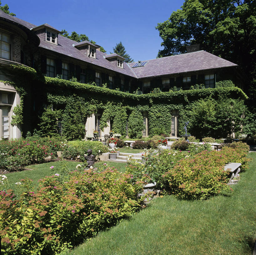 家,室外,花坛,长椅,房屋,常春藤,台阶,花,树,粉色,绿色,紫色,夏天,灌木,粘土,景观设计