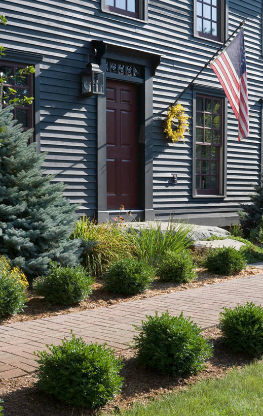 室外,连翘,灯笼,花环,砖,美国国旗,黄杨木,美国人,岩石,青翘,落翘,连壳,黄奇丹,黄花条