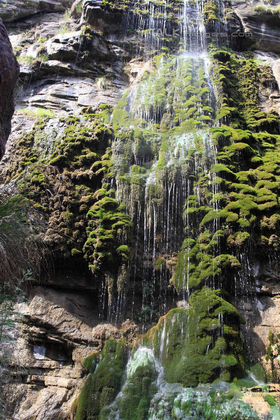 无人,竖图,室外,白天,正面,旅游,度假,河流,美景,瀑布,山,山脉,水,植物,云台山,中国,亚洲,阴影,飞溅,溅,光线,液体,影子,阶梯,河水,景观,山峰,水滴,水流,青苔,苔藓,山峦,娱乐,台阶,水珠,绿色,倒影,阳光,自然,群山,享受,休闲,石壁,石阶,景色,放松,生长,成长,倒映,喷洒,自然风光,东亚,中华人民共和国,河南,河南省,豫,华中地区,焦作,焦作市,反照,修武,修武县,跌水,岩石,彩图,bjzqp1