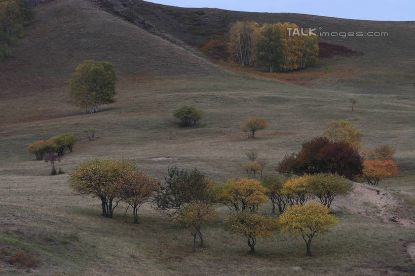 无人,横图,俯视,室外,白天,旅游,度假,草地,草原,草坪,美景,山,植物,坝上,中国,亚洲,阴影,光线,影子,景观,旷野,山峰,辽阔,山峦,娱乐,草,树,树木,绿色,阳光,自然,享受,休闲,广阔,景色,放松,生长,成长,自然风光,原野,东亚,中华人民共和国,华北地区,河北,河北省,冀,承德,承德市,广大,广宽,空阔,彩图,高角度拍摄,丰宁满族自治县,京北第一草原,bjzqp1
