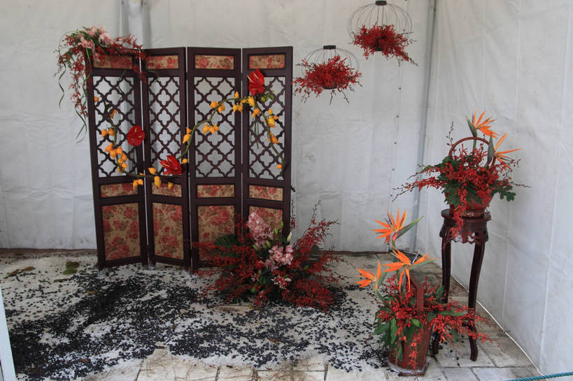 无人,花园,横图,俯视,室内,白天,旅游,度假,智慧,热情,花海,花圃,石头,美景,植物,屏风,桌子,叶子,许多,艺术,盛开,花篮,石子,景观,园艺,火鹤花,绿叶,安祖花,花蕾,温室,文化,娱乐,展品,花,花瓣,花朵,花卉,鲜花,绿色,风景,自然,插花,花丛,花田,花苞,花蕊,享受,休闲,嫩叶,景色,放松,恋爱,生长,成长,园林,展览,风光,展厅,插花艺术,红掌,花烛,一串红,景物,创造,大棚,创作,保温,想象,爆仗红,红鹤芋,猪尾花,烛台花,蜡烛花,大展宏图,热血,风物,光景,景致,炮仗红,叶,叶片,石块,小花园,彩图,高角度拍摄,bjzqp1