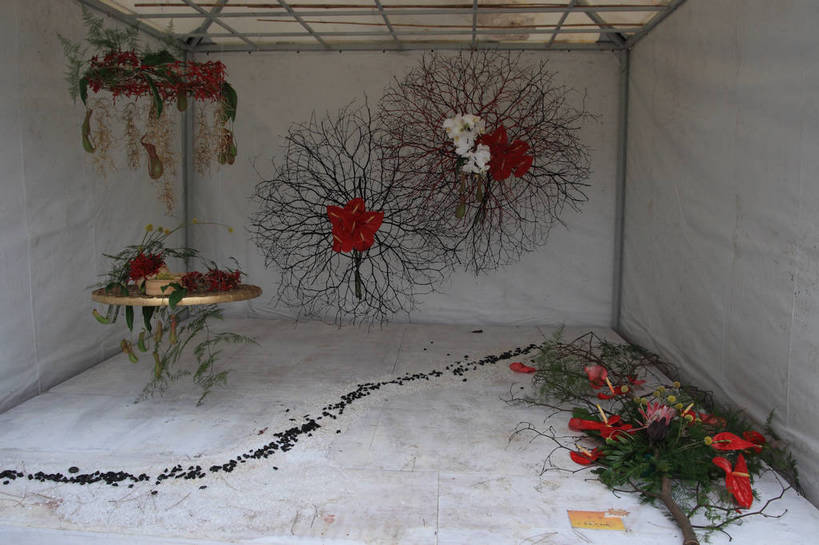 无人,花园,横图,室内,白天,正面,旅游,度假,智慧,热情,花海,花圃,石头,美景,植物,桌子,叶子,许多,艺术,装饰,盛开,石子,景观,园艺,火鹤花,绿叶,安祖花,花蕾,温室,文化,娱乐,展品,花,花瓣,花朵,花卉,鲜花,红色,绿色,风景,自然,插花,花丛,花田,花苞,花蕊,享受,休闲,嫩叶,景色,放松,生长,成长,园林,展览,风光,展厅,华丽,修饰,插花艺术,红掌,花烛,点缀,景物,创造,大棚,创作,保温,想象,衬托,美观,雅致,雅观,红鹤芋,猪尾花,烛台花,蜡烛花,大展宏图,热血,风物,光景,景致,叶,叶片,石块,小花园,彩图,bjzqp1