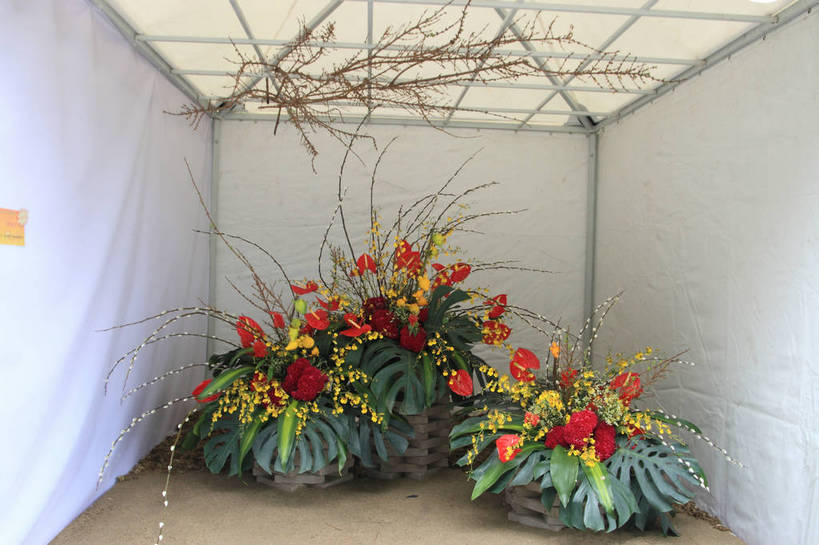 无人,花园,横图,俯视,室内,白天,旅游,度假,智慧,热情,花海,花圃,美景,植物,叶子,许多,艺术,盛开,景观,园艺,火鹤花,绿叶,安祖花,花蕾,温室,文化,娱乐,展品,花,花瓣,花朵,花卉,鲜花,绿色,风景,自然,插花,花丛,花田,花苞,花蕊,享受,休闲,健康,嫩叶,景色,放松,生长,成长,园林,展览,风光,展厅,插花艺术,红掌,花烛,蓬莱蕉,景物,创造,大棚,创作,保温,想象,红鹤芋,猪尾花,烛台花,蜡烛花,长寿,反皮索,鲤鱼草,盘龙参,绶草,大展宏图,热血,风物,光景,景致,铁丝兰,透龙掌,穿孔喜林芋,龟背竹,叶,叶片,小花园,彩图,高角度拍摄,bjzqp1