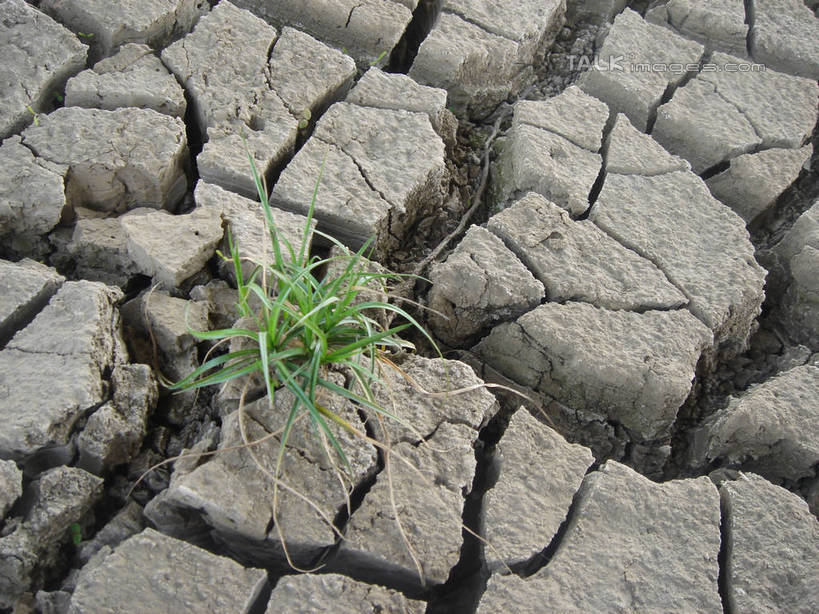 无人,农田,横图,俯视,室外,白天,庄稼,农作物,草地,植物,阴影,环保,干枯,光线,影子,泥土,沟渠,自然灾害,野草,草,绿色,阳光,自然,能源,生机,希望,生态,回收,干涸,资源,干旱,灾难,沟壑,利用,低碳,循环,枯竭,持续,灾祸,彩图,高角度拍摄,耕地,庄稼田,灾害,hascy1