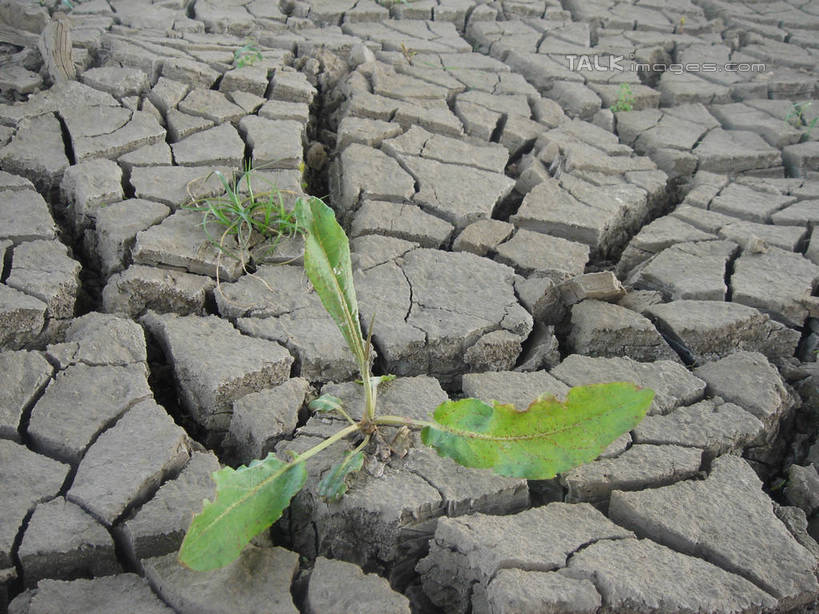 无人,农田,横图,俯视,室外,白天,庄稼,农作物,草地,植物,阴影,环保,干枯,光线,影子,泥土,沟渠,自然灾害,野草,草,绿色,阳光,自然,能源,生机,希望,生态,回收,干涸,资源,干旱,灾难,沟壑,利用,低碳,循环,枯竭,持续,灾祸,彩图,高角度拍摄,耕地,庄稼田,灾害,hascy1