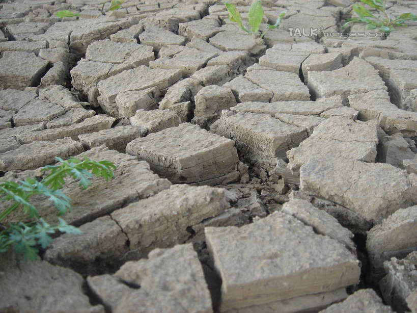 无人,农田,横图,俯视,室外,白天,庄稼,农作物,草地,植物,阴影,环保,干枯,光线,影子,泥土,沟渠,自然灾害,野草,草,绿色,阳光,自然,能源,生机,希望,生态,回收,干涸,资源,干旱,灾难,沟壑,利用,低碳,循环,枯竭,持续,灾祸,彩图,高角度拍摄,耕地,庄稼田,灾害,hascy1