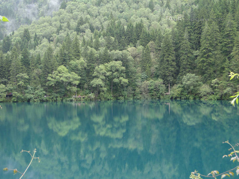 无人,横图,室外,白天,正面,旅游,度假,河流,美景,山,山脉,树林,水,植物,九寨沟,中国,亚洲,河水,景观,山峰,水流,山峦,娱乐,树,树木,绿色,倒影,自然,群山,享受,休闲,景色,放松,四川省,生长,成长,波光粼粼,倒映,自然风光,东亚,四川,阿坝,中华人民共和国,西南地区,阿坝藏族羌族自治州,阿坝州,川,九寨沟县,反照,彩图,九寨沟风景区,四川九寨沟风景名胜区,hascy1