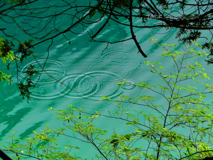 无人,横图,俯视,室外,白天,旅游,度假,河流,美景,山,山脉,树林,水,植物,九寨沟,中国,亚洲,波纹,螺旋,河水,景观,山峰,水流,涟漪,山峦,娱乐,树,树木,绿色,倒影,水纹,自然,波浪,群山,享受,休闲,景色,放松,四川省,生长,成长,波光粼粼,倒映,自然风光,螺纹,东亚,四川,阿坝,中华人民共和国,水晕,西南地区,阿坝藏族羌族自治州,阿坝州,川,九寨沟县,反照,彩图,高角度拍摄,九寨沟风景区,四川九寨沟风景名胜区,hascy1