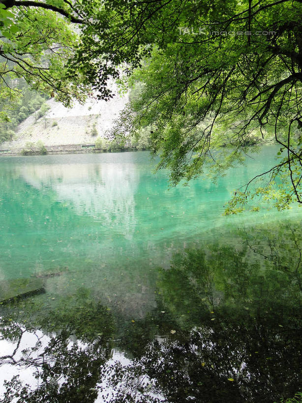 无人,竖图,室外,白天,正面,旅游,度假,河流,美景,山,山脉,树林,水,植物,九寨沟,中国,亚洲,河水,景观,山峰,水流,山峦,娱乐,树,树木,绿色,倒影,自然,群山,享受,休闲,景色,放松,四川省,生长,成长,波光粼粼,倒映,自然风光,东亚,四川,阿坝,中华人民共和国,西南地区,阿坝藏族羌族自治州,阿坝州,川,九寨沟县,反照,彩图,九寨沟风景区,四川九寨沟风景名胜区,hascy1