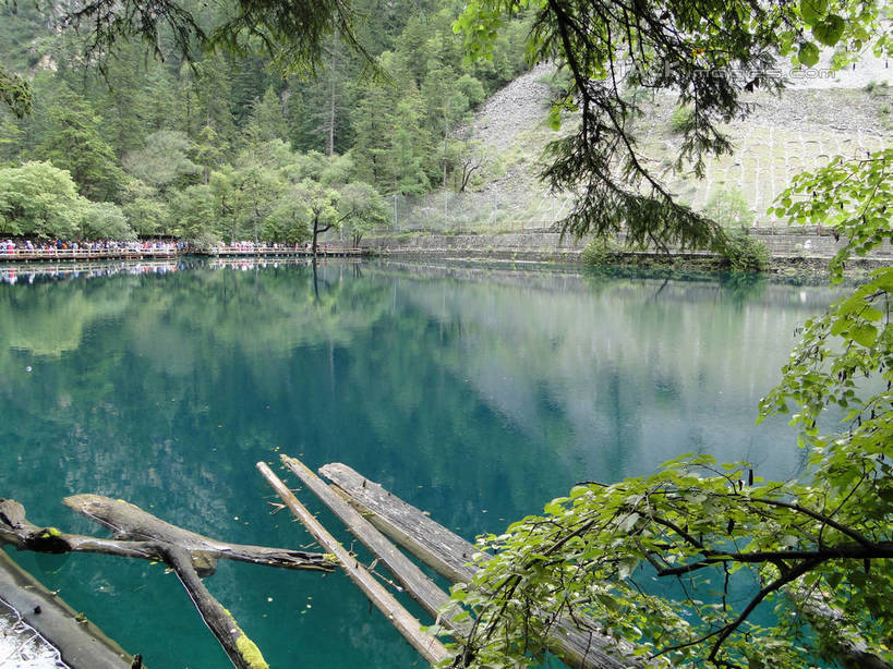 无人,横图,室外,白天,正面,旅游,度假,草地,草坪,河流,美景,山,山脉,树林,水,植物,九寨沟,中国,亚洲,河水,景观,山峰,水流,枝条,山峦,娱乐,草,树,树木,树枝,绿色,倒影,自然,群山,享受,休闲,景色,放松,四川省,生长,成长,波光粼粼,倒映,自然风光,东亚,四川,阿坝,中华人民共和国,西南地区,阿坝藏族羌族自治州,阿坝州,川,九寨沟县,反照,枝杈,彩图,九寨沟风景区,四川九寨沟风景名胜区,hascy1