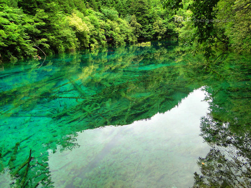 无人,横图,俯视,室外,白天,旅游,度假,河流,美景,山,山脉,树林,水,植物,九寨沟,中国,亚洲,河水,景观,山峰,水流,山峦,娱乐,树,树木,绿色,倒影,自然,群山,享受,休闲,景色,放松,四川省,生长,成长,波光粼粼,倒映,自然风光,东亚,四川,阿坝,中华人民共和国,西南地区,阿坝藏族羌族自治州,阿坝州,川,九寨沟县,反照,彩图,高角度拍摄,九寨沟风景区,四川九寨沟风景名胜区,hascy1