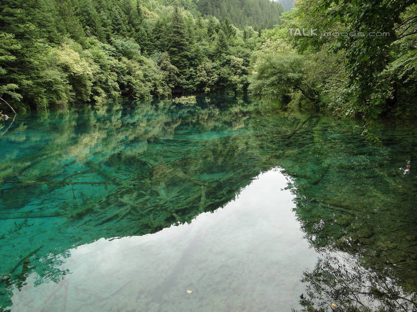 无人,横图,室外,白天,正面,旅游,度假,河流,美景,山,山脉,树林,水,植物,九寨沟,中国,亚洲,河水,景观,山峰,水流,山峦,娱乐,树,树木,绿色,倒影,自然,群山,享受,休闲,景色,放松,四川省,生长,成长,波光粼粼,倒映,自然风光,东亚,四川,阿坝,中华人民共和国,西南地区,阿坝藏族羌族自治州,阿坝州,川,九寨沟县,反照,彩图,九寨沟风景区,四川九寨沟风景名胜区,hascy1
