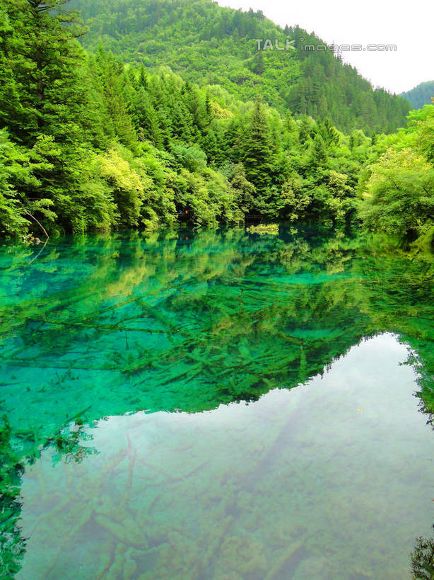 无人,竖图,室外,白天,正面,旅游,度假,河流,美景,山,山脉,树林,水,植物,九寨沟,中国,亚洲,河水,景观,山峰,水流,山峦,娱乐,树,树木,绿色,倒影,自然,群山,享受,休闲,景色,放松,四川省,生长,成长,波光粼粼,倒映,自然风光,东亚,四川,阿坝,中华人民共和国,西南地区,阿坝藏族羌族自治州,阿坝州,川,九寨沟县,反照,彩图,九寨沟风景区,四川九寨沟风景名胜区,hascy1