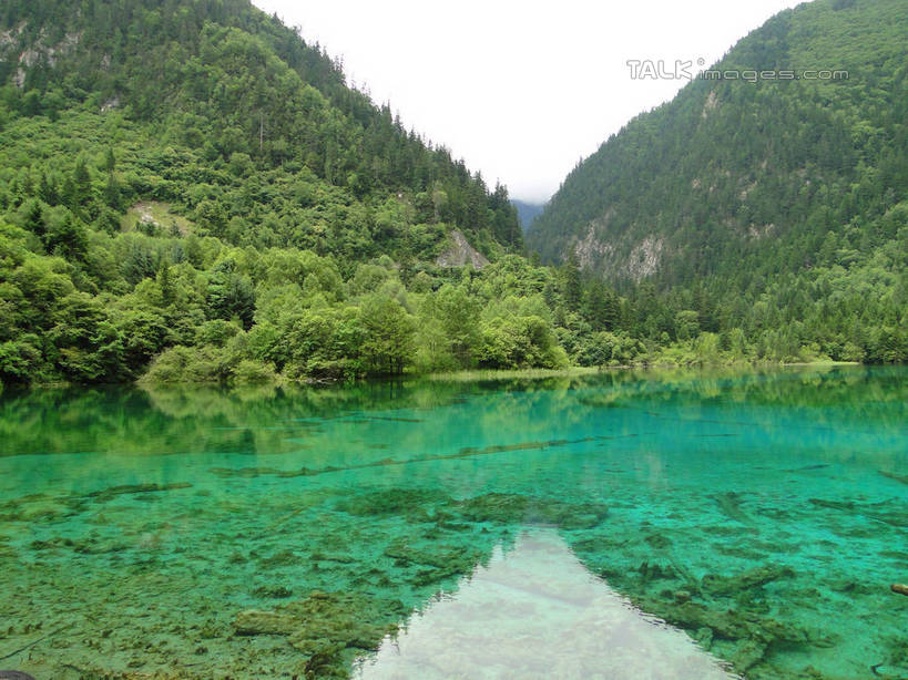 无人,横图,室外,白天,正面,旅游,度假,河流,美景,山,山脉,树林,水,植物,九寨沟,中国,亚洲,阴影,光线,影子,河水,景观,山峰,水流,山峦,娱乐,树,树木,绿色,倒影,天空,阳光,自然,群山,天,享受,休闲,景色,放松,四川省,生长,成长,波光粼粼,倒映,自然风光,东亚,四川,阿坝,中华人民共和国,西南地区,阿坝藏族羌族自治州,阿坝州,川,九寨沟县,反照,彩图,九寨沟风景区,四川九寨沟风景名胜区,hascy1