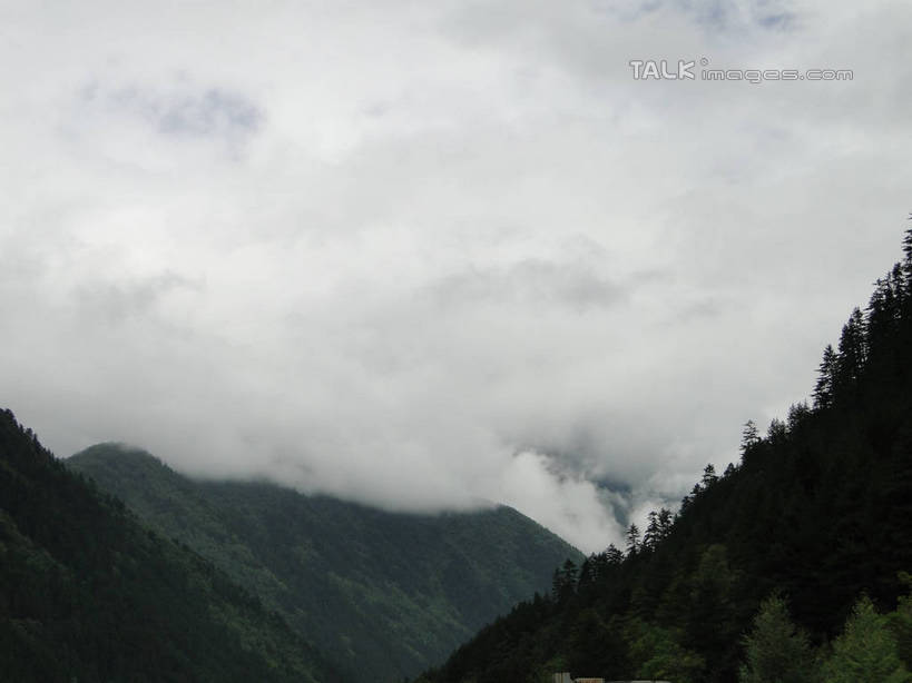 无人,横图,室外,白天,正面,旅游,度假,美景,森林,山,山脉,树林,植物,雾,九寨沟,中国,亚洲,朦胧,模糊,景观,山峰,山峦,娱乐,树,树木,绿色,自然,群山,享受,休闲,景色,放松,四川省,生长,成长,迷雾,自然风光,东亚,四川,阿坝,中华人民共和国,西南地区,阿坝藏族羌族自治州,阿坝州,川,九寨沟县,大雾,彩图,九寨沟风景区,四川九寨沟风景名胜区,hascy1