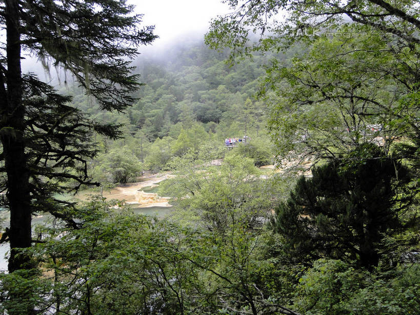 无人,横图,室外,白天,正面,旅游,度假,美景,森林,山,山脉,树林,植物,九寨沟,中国,亚洲,清澈,景观,山峰,山峦,娱乐,树,树木,绿色,倒影,自然,群山,享受,休闲,景色,放松,四川省,生长,成长,波光粼粼,倒映,自然风光,东亚,四川,阿坝,中华人民共和国,西南地区,阿坝藏族羌族自治州,阿坝州,川,九寨沟县,五彩池,反照,彩图,九寨沟风景区,四川九寨沟风景名胜区,hascy1