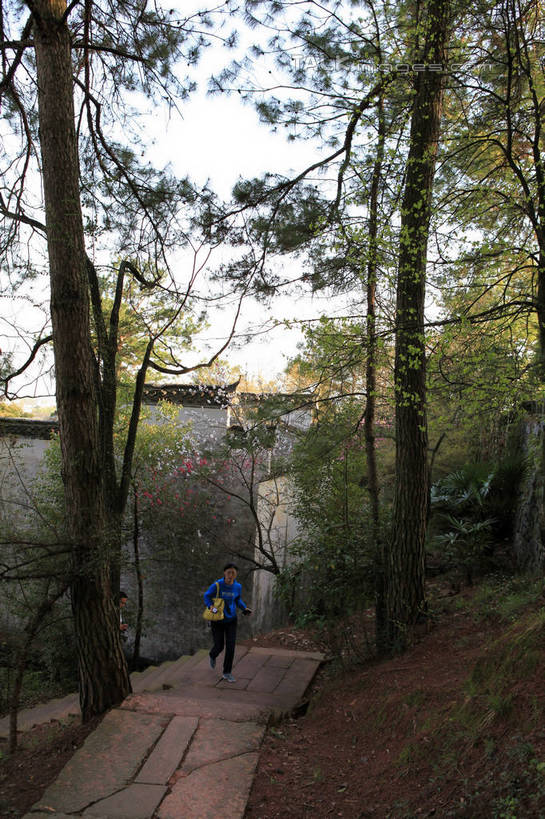 东方人,两个人,家,走,竖图,俯视,室外,白天,旅游,度假,黄山,石头,名胜古迹,植物,楼梯,标志建筑,道路,地标,建筑,路,中国,亚洲,阴影,遗迹,光线,影子,房屋,阶梯,墙,屋子,石板,小路,地面,交通,黄种人,古迹,文化,文物,娱乐,建设,古建筑,楼房,民居,民宅,墙壁,墙面,石板路,台阶,住宅,树,树木,蓝色,绿色,蓝天,天空,阳光,自然,天,享受,休闲,旅游胜地,放松,乡间小路,生长,晴朗,成长,古文明,东亚,安徽,安徽省,黄山市,万里无云,中华人民共和国,华东地区,皖,潜口,男人,男性,年轻男性,年轻女性,女人,女性,亚洲人,晴空,晴空万里,步行,散步,走路,彩图,高角度拍摄,全身,房子,传统文化,rzwdb1