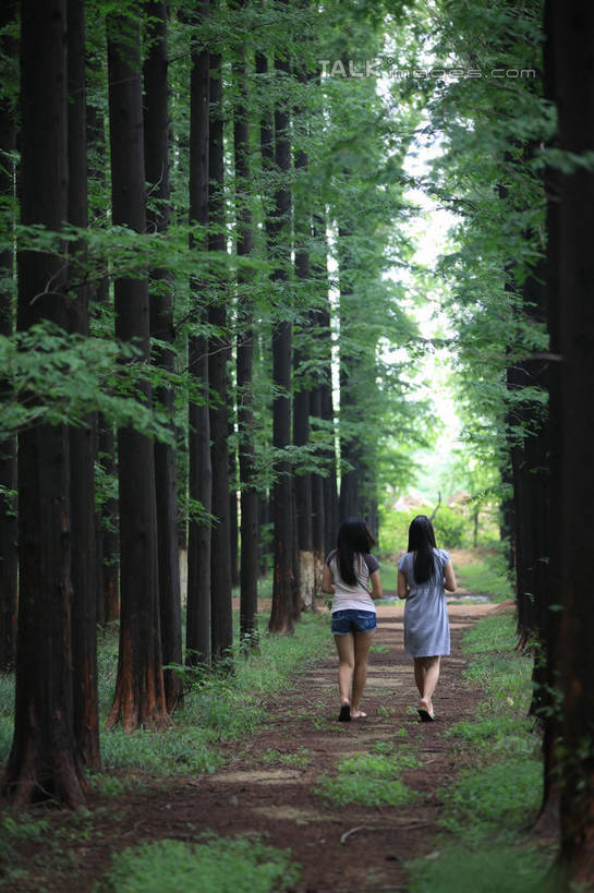 东方人,两个人,伙伴,朋友,公园,走,竖图,室外,白天,度假,友谊,草地,草坪,美景,树林,植物,城市风光,城市,道路,路,中国,亚洲,一排,许多,阴影,服装,整齐,光线,影子,景观,云,云朵,小路,树荫,交通,云彩,休闲装,黄种人,娱乐,山东,草,树,树木,排列,背面,衣服,蓝色,绿色,白云,蓝天,天空,阳光,自然,天,享受,休闲,休闲服,景色,放松,服饰,生长,晴朗,成长,队列,东亚,山东省,日照,森林公园,中华人民共和国,华东地区,鲁,日照市,鲁南海滨森林公园,友情,年轻女性,女人,女性,亚洲人,长发,晴空,步行,散步,走路,彩图,全身,rzwdb1