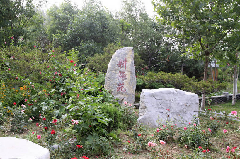 无人,横图,室外,白天,正面,度假,草地,草坪,石头,美景,树林,植物,城市风光,城市,中国,亚洲,许多,阴影,盛开,光线,标志,石子,文字,影子,字符,景观,花蕾,娱乐,标识,山东,草,花,花瓣,花朵,鲜花,树,树木,红色,绿色,天空,阳光,自然,天,花苞,花蕊,享受,休闲,汉字,景色,放松,生长,成长,中文,东亚,山东省,中华人民共和国,华东地区,国文,华文,鲁,滨州,滨州市,石块,岩石,彩图,rzwdb1