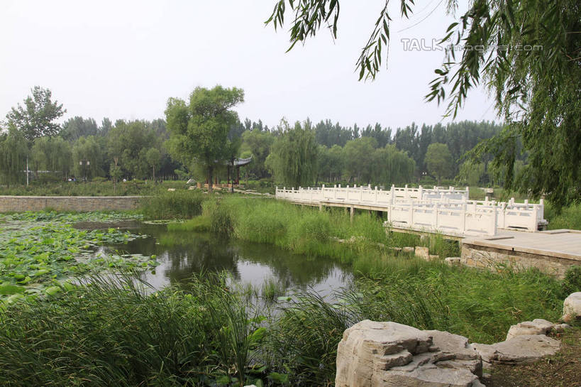 无人,栏杆,横图,室外,白天,正面,度假,草地,草坪,湖,湖泊,石头,美景,树林,水,植物,城市风光,城市,中国,亚洲,阴影,光线,石子,影子,湖面,景观,水流,水面,围栏,桥,娱乐,山东,护栏,栈桥,草,树,树木,绿色,倒影,天空,阳光,自然,湖水,天,享受,休闲,景色,放松,生长,成长,倒映,东亚,山东省,中华人民共和国,华东地区,鲁,滨州,滨州市,反照,石块,岩石,彩图,rzwdb1