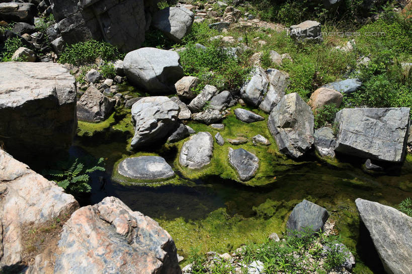 无人,横图,俯视,室外,白天,旅游,度假,河流,美景,山,树林,水,植物,中国,亚洲,阴影,光线,影子,河水,景观,山峰,水流,青苔,苔藓,山峦,娱乐,山东,树,树木,绿色,阳光,自然,享受,休闲,景色,放松,生长,成长,自然风光,东亚,山东省,日照,中华人民共和国,华东地区,鲁,日照市,五莲山,五莲山风景名胜区,五莲县,彩图,高角度拍摄,rzwdb1
