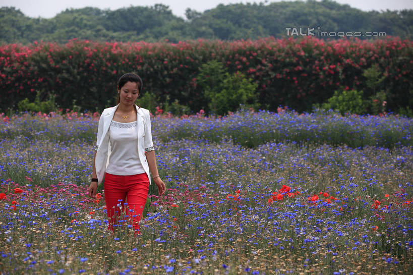 东方人,一个人,走,笑,微笑,横图,室外,白天,正面,旅游,度假,花海,花圃,美景,树林,植物,项链,叶子,中国,亚洲,仅一个年轻女性,仅一个女性,仅一个人,许多,阴影,服装,朦胧,模糊,装饰,盛开,时间,光线,时钟,手表,影子,景观,绿叶,计时,花蕾,注视,休闲装,黄种人,娱乐,山东,装饰品,花,花瓣,花朵,花卉,鲜花,树,树木,衣服,绿色,白色,阳光,自然,饰品,手链,首饰,钟表,花丛,花田,花苞,花蕊,低头,观察,看,享受,休闲,休闲服,嫩叶,表,景色,放松,服饰,生长,成长,观看,华丽,修饰,腕表,点缀,察看,关注,自然风光,东亚,山东省,日照,中华人民共和国,华东地区,衬托,美观,雅致,雅观,鲁,日照市,花仙子风景区,年轻女性,女人,女性,亚洲人,叶,叶片,钟,步行,散步,走路,半身,彩图,西服,rzwdb1