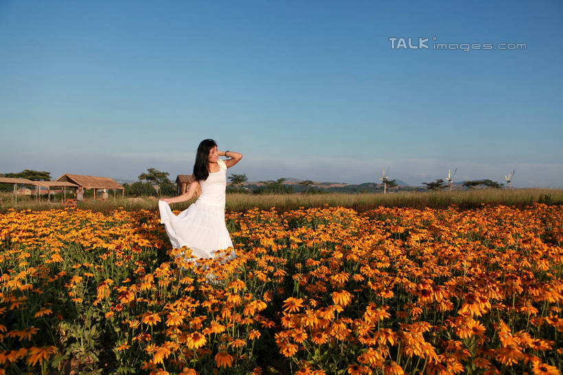 东方人,一个人,站,笑,摸,微笑,露齿笑,横图,室外,白天,正面,裙子,旅游,度假,草地,草坪,花海,花圃,美景,植物,叶子,中国,亚洲,仅一个年轻女性,仅一个女性,仅一个人,许多,抚摸,握,阴影,连衣裙,装饰,盛开,光线,影子,景观,绿叶,拿,花蕾,拿着,扭头,注视,黄种人,娱乐,山东,草,花,花瓣,花朵,花卉,鲜花,黄色,红色,蓝色,绿色,紫色,白色,蓝天,天空,阳光,自然,饰品,手链,花丛,花田,天,花苞,花蕊,低头,观察,看,站着,转头,享受,休闲,嫩叶,菊花,景色,放松,握着,生长,晴朗,成长,观看,华丽,修饰,点缀,察看,关注,自然风光,东亚,山东省,日照,金光菊,万里无云,中华人民共和国,华东地区,衬托,美观,雅致,雅观,鲁,日照市,臭菊,黑眼菊,花仙子风景区,年轻女性,女人,女性,亚洲人,叶,叶片,晴空,晴空万里,触摸,接触,站立,彩图,全身,rzwdb1