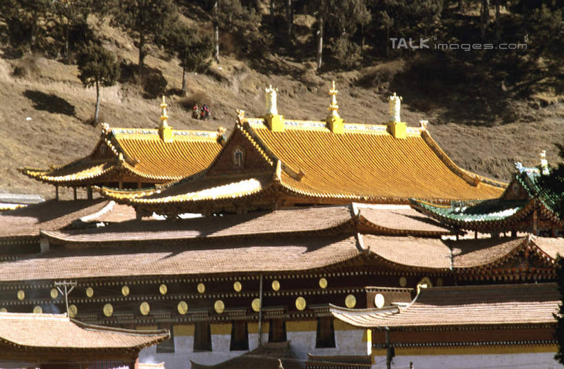 无人,家,竖图,室外,白天,正面,旅游,度假,名胜古迹,植物,标志建筑,地标,建筑,中国,亚洲,阴影,遗迹,光线,影子,房屋,屋顶,屋子,顶棚,古迹,文物,娱乐,建设,古建筑,楼房,住宅,树,树木,绿色,阳光,自然,享受,休闲,旅游胜地,放松,生长,成长,古文明,东亚,甘肃,甘肃省,碌曲县,郎木寺,郎木寺镇,中华人民共和国,西北地区,甘,郎木寺乡,彩图,房子,shcm1