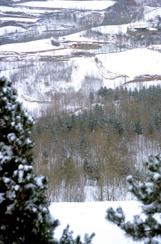 无人,横图,俯视,室外,白天,旅游,度假,草地,草坪,美景,山,雪,雪山,植物,大雪,中国,亚洲,冰,积雪,景观,山峰,雪景,冬季,冬天,山峦,娱乐,草,树,树木,绿色,自然,享受,休闲,景色,放松,寒冷,生长,成长,冰冷,自然风光,东亚,甘肃,甘肃省,夏河县,中华人民共和国,严寒,冰凉,酷寒,凛冽,凛凛,极冷,西北地区,甘,夏河,彩图,高角度拍摄,shcm1