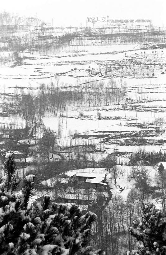 无人,竖图,黑白,室外,白天,正面,旅游,度假,草地,草坪,美景,山,雪,雪山,植物,大雪,中国,亚洲,冰,积雪,景观,山峰,雪景,冬季,冬天,山峦,娱乐,草,树,树木,自然,享受,休闲,景色,放松,寒冷,生长,成长,冰冷,自然风光,东亚,甘肃,甘肃省,夏河县,中华人民共和国,严寒,冰凉,酷寒,凛冽,凛凛,极冷,西北地区,甘,夏河,shcm1