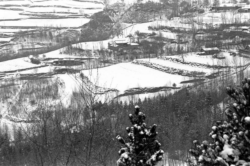 无人,横图,黑白,室外,白天,正面,旅游,度假,草地,草坪,美景,山,雪,雪山,植物,大雪,中国,亚洲,冰,积雪,景观,山峰,雪景,冬季,冬天,山峦,娱乐,草,树,树木,自然,享受,休闲,景色,放松,寒冷,生长,成长,冰冷,自然风光,东亚,甘肃,甘肃省,夏河县,中华人民共和国,严寒,冰凉,酷寒,凛冽,凛凛,极冷,西北地区,甘,夏河,shcm1