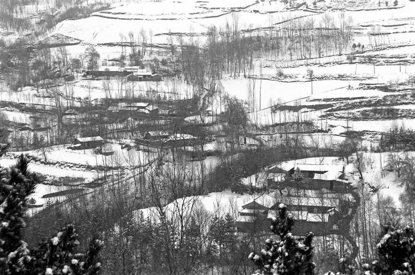 无人,横图,黑白,室外,白天,正面,旅游,度假,草地,草坪,美景,山,雪,雪山,植物,大雪,中国,亚洲,冰,积雪,景观,山峰,雪景,冬季,冬天,山峦,娱乐,草,树,树木,自然,享受,休闲,景色,放松,寒冷,生长,成长,冰冷,自然风光,东亚,甘肃,甘肃省,夏河县,中华人民共和国,严寒,冰凉,酷寒,凛冽,凛凛,极冷,西北地区,甘,夏河,shcm1