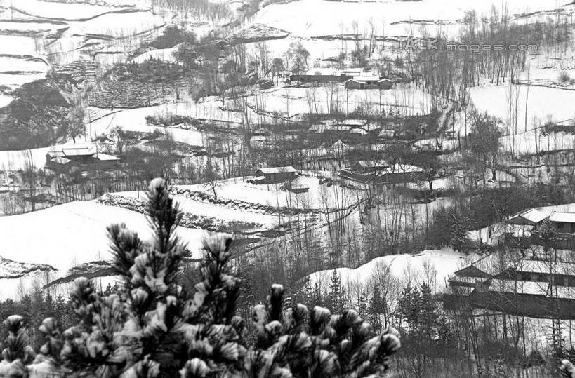 无人,横图,黑白,室外,白天,正面,旅游,度假,草地,草坪,美景,山,雪,雪山,植物,大雪,中国,亚洲,冰,积雪,景观,山峰,雪景,冬季,冬天,山峦,娱乐,草,树,树木,自然,享受,休闲,景色,放松,寒冷,生长,成长,冰冷,自然风光,东亚,甘肃,甘肃省,夏河县,中华人民共和国,严寒,冰凉,酷寒,凛冽,凛凛,极冷,西北地区,甘,夏河,shcm1