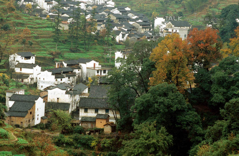 无人,家,横图,俯视,室外,白天,旅游,度假,美景,植物,建筑,中国,亚洲,瓦片,房屋,屋顶,屋子,景观,顶棚,瓦,娱乐,江西,婺源,楼房,住宅,树,树木,绿色,自然,享受,休闲,景色,放松,建造,生长,成长,自然风光,东亚,屋瓦,江西省,中华人民共和国,华东地区,赣,婺源县,上饶,上饶市,彩图,高角度拍摄,房子,shcm1